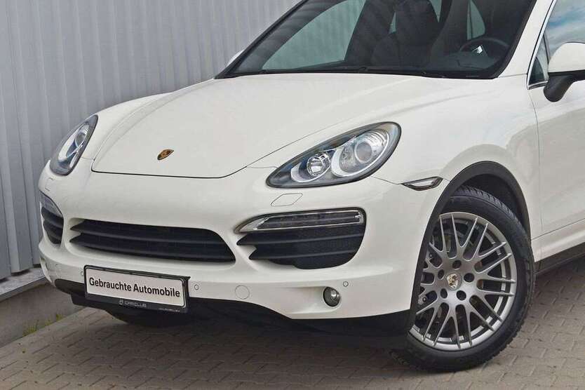 Cayenne
