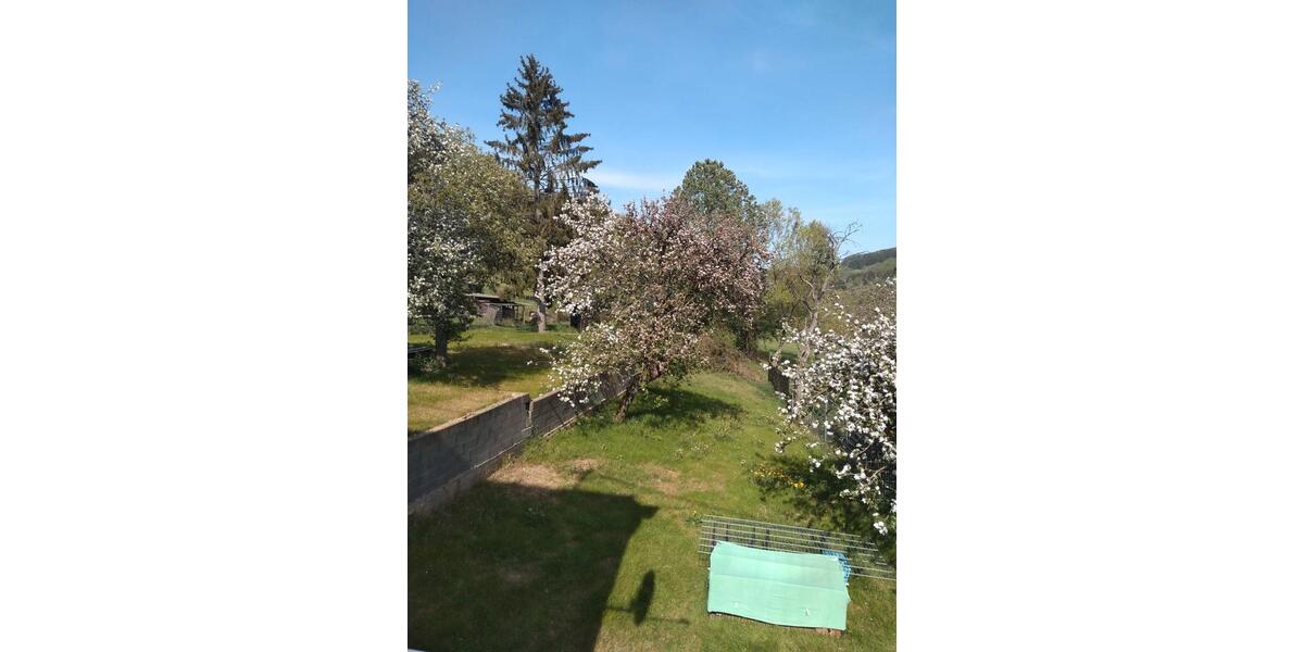 Einfamilienhaus Nonnweiler - 6 Zimmer, 125 m&sup2;, 285.000&euro; | Angebot:25961721