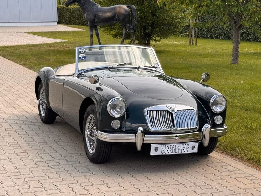 MGA