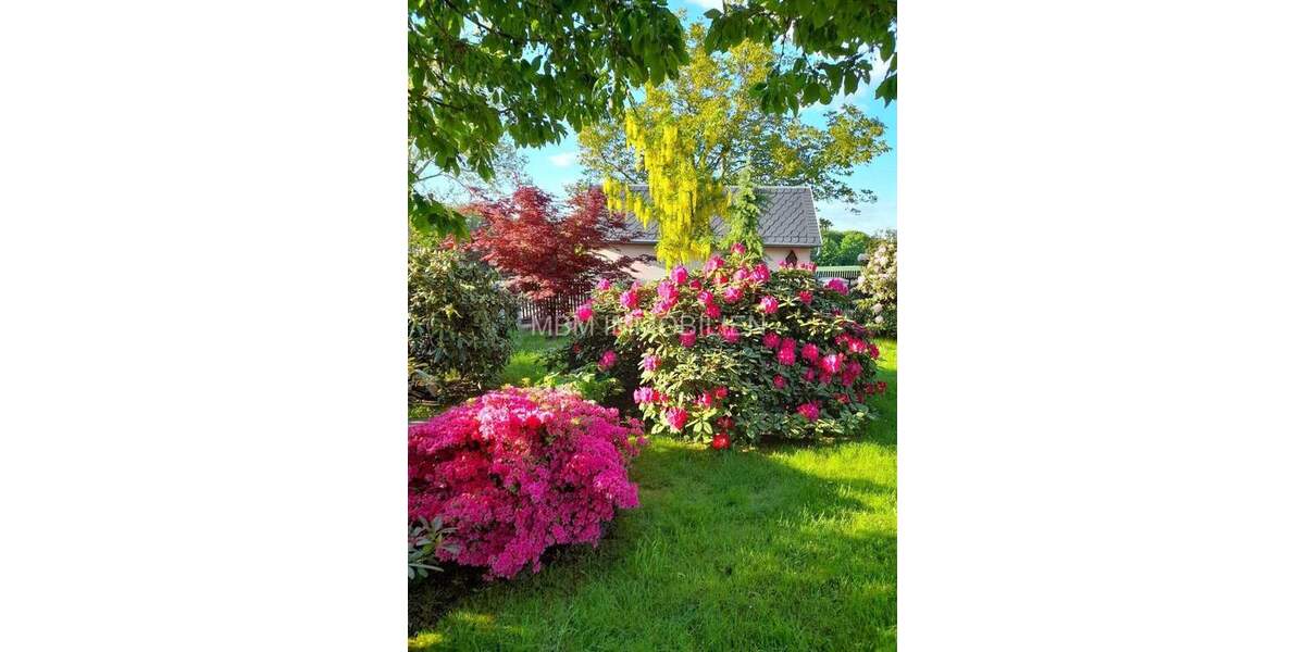 Einfamilienhaus Dresden Pennrich - 4 Zimmer, 84 m&sup2;, 469.500&euro; | Angebot:25603780