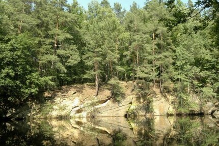 Grundstück im Wald mit Kranteich - Grundstück Vierkirchen OT Arnsdorf-Hilbersdorf | Angebot:19802571