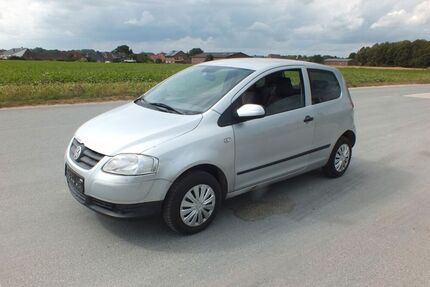 VW Fox
