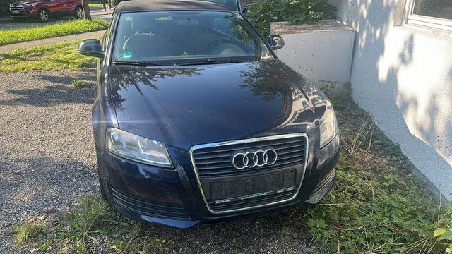 A3