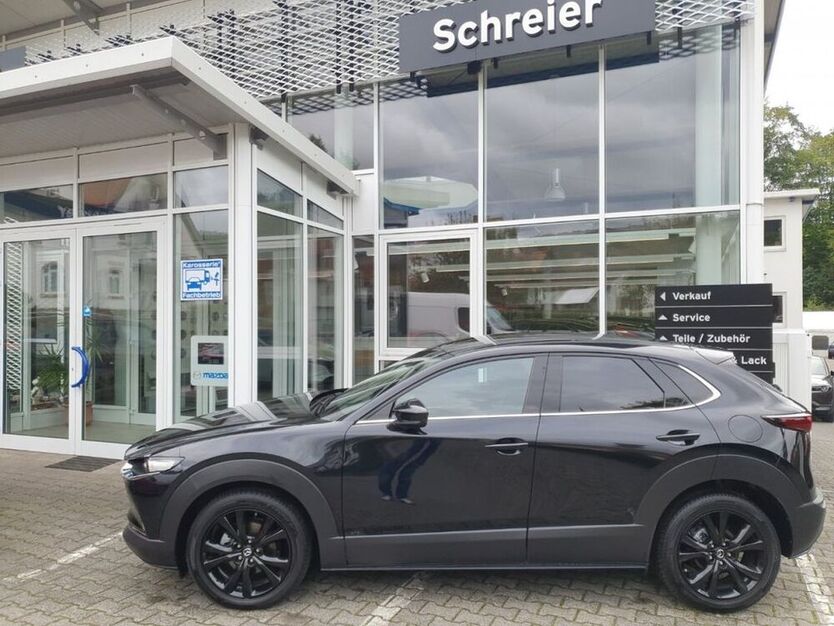 CX-30
