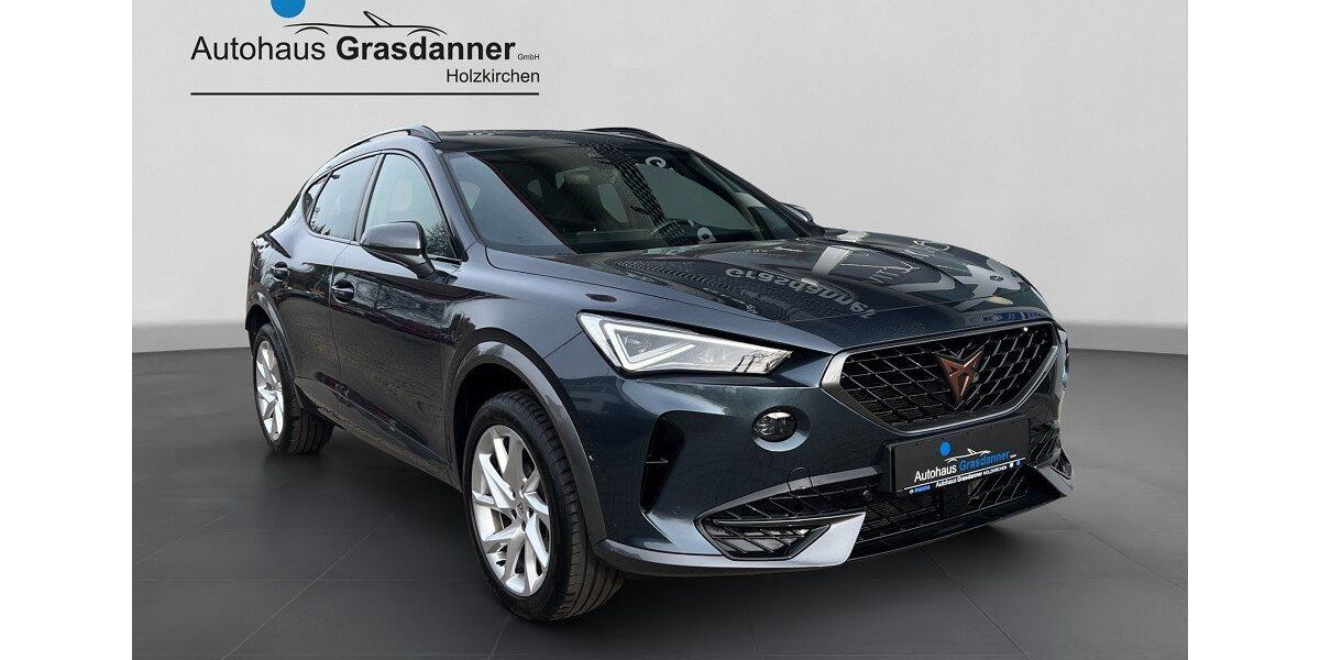 Cupra Formentor 29.510 km 28.900 &euro; Holzkirchen 83607