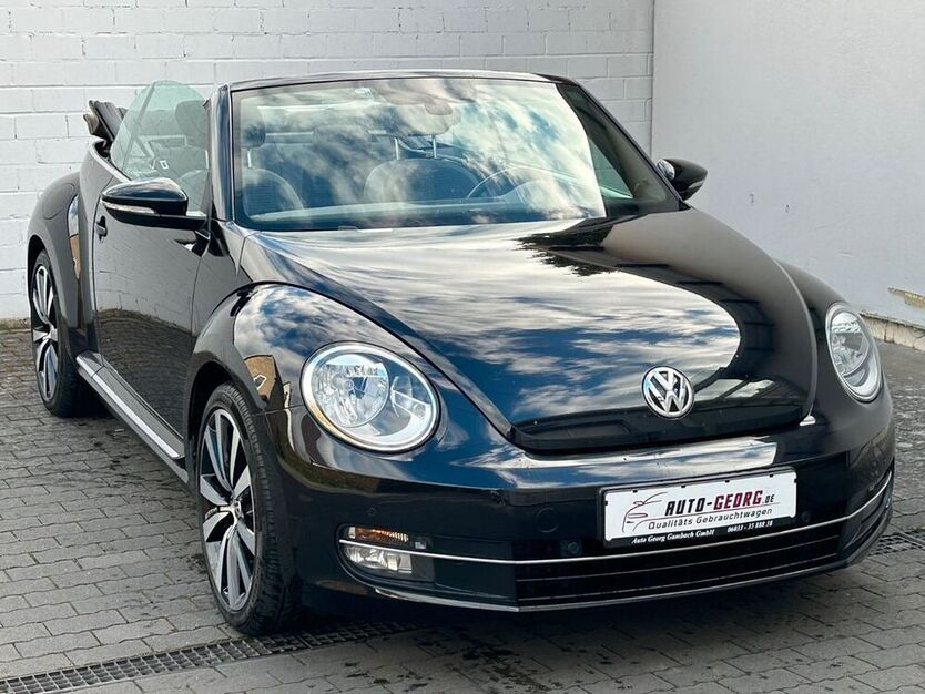Beetle