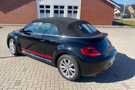 VW Beetle