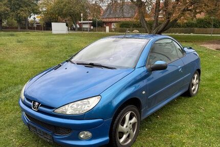 Peugeot 206 210.000 km 2.500 € Crivitz 19089