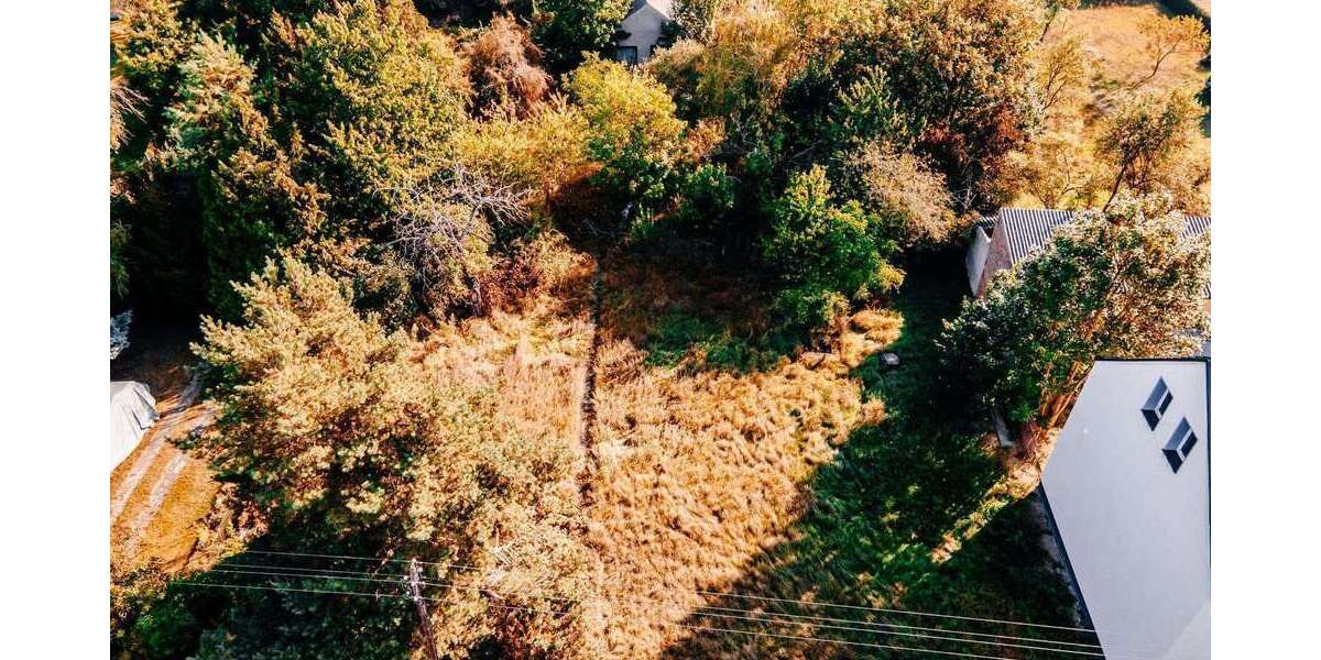 Grundstück Bad Freienwalde - 90.000&euro; | Angebot:26364358