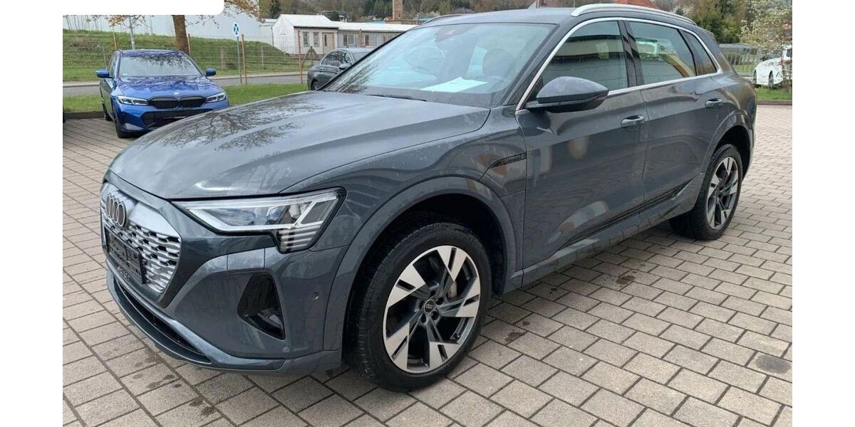 Audi Q8 e-tron 69.245 km 37.990 &euro; Steinbach-Hallenberg OT Herges-Hallenberg 98587
