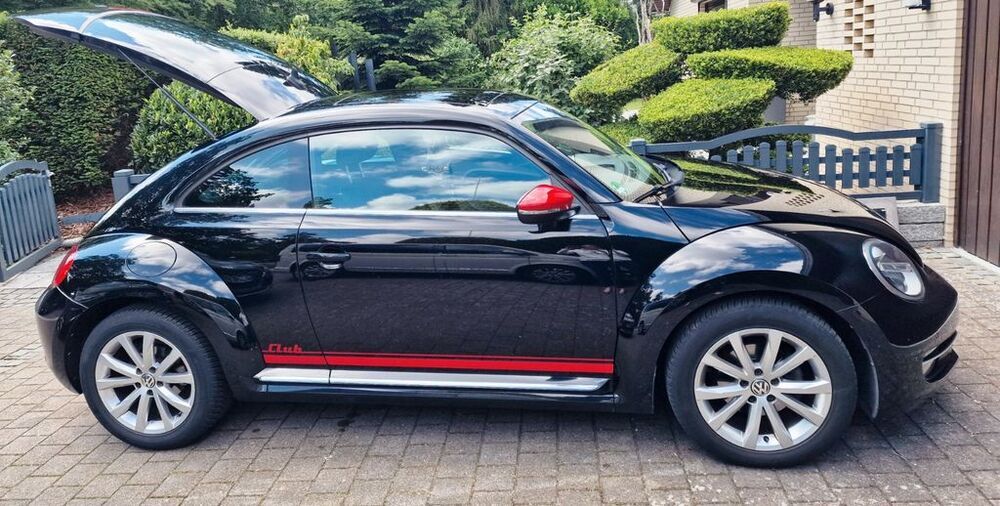 Beetle