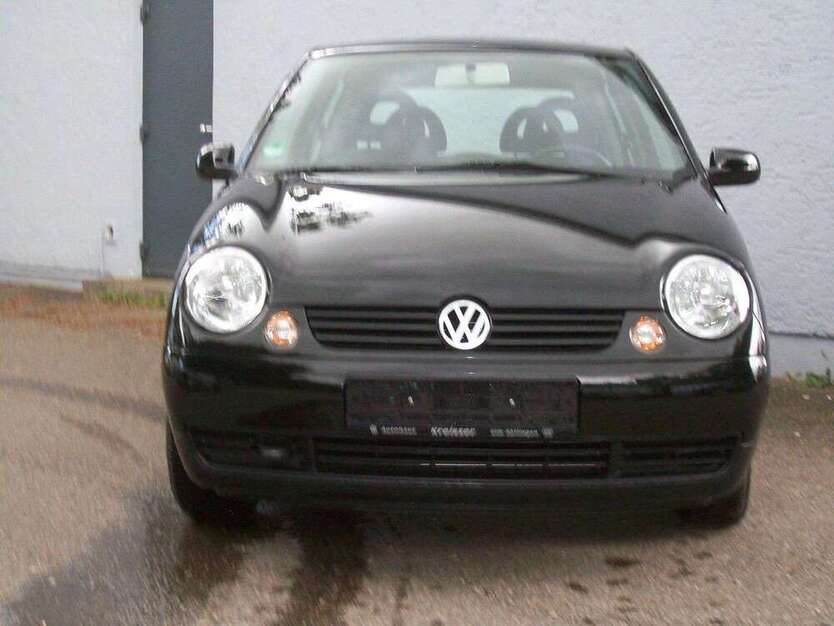 Lupo