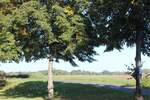 Grundstück Mühlenbecker Land Schönfließ - 199.000&euro; | Angebot:25739761