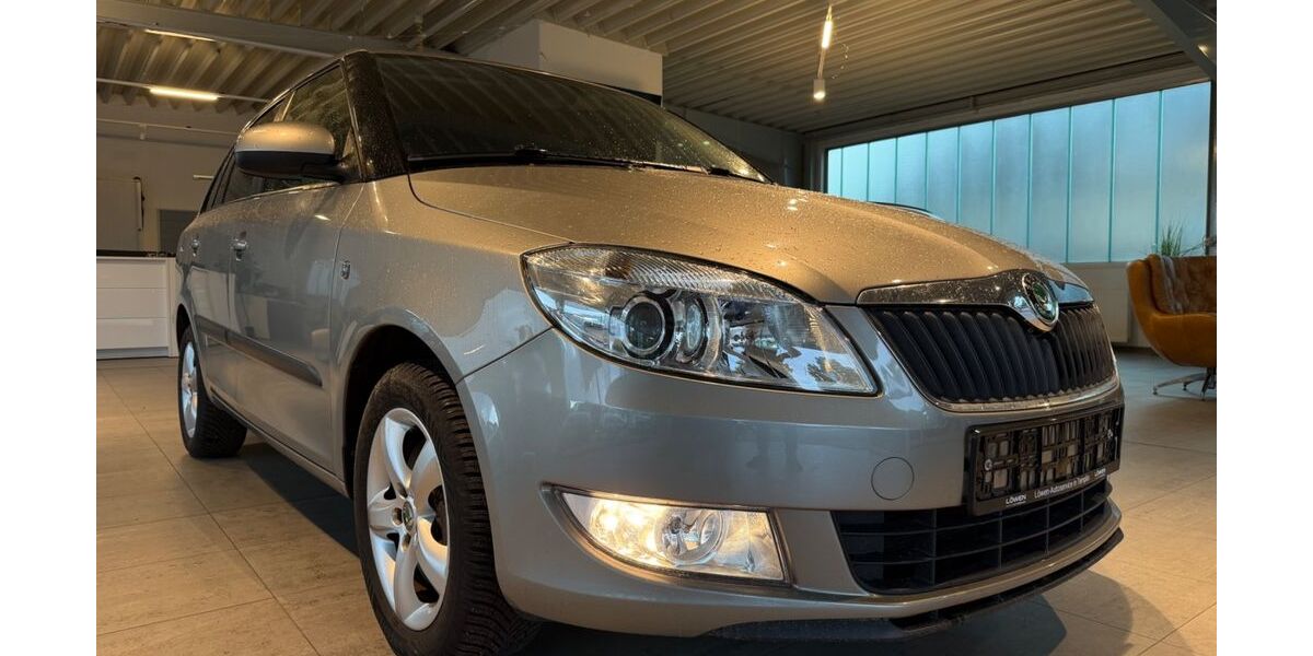 Skoda Fabia 89.000 km 8.990 &euro; Templin 17268