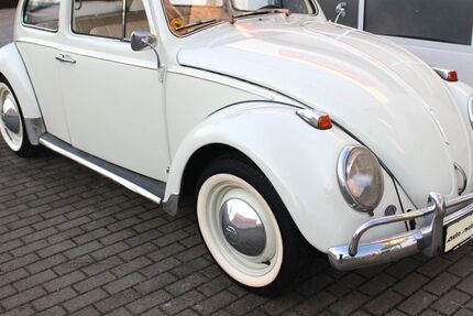 VW Käfer 41.017 km 34.900 &euro; Radebeul-Dresden 01445