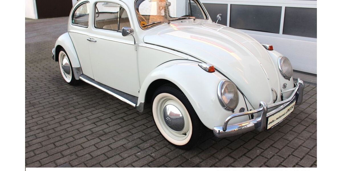 VW Käfer 41.017 km 34.900 &euro; Radebeul-Dresden 01445