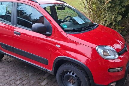 Fiat Panda 36.000 km 11.900 &euro; Michelstadt 64720