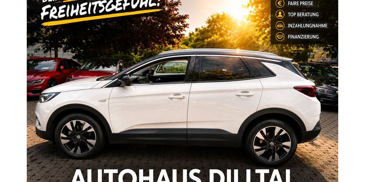 Opel Grandland (X) 92.600 km 14.995 &euro; Eschenburg - Hirzenhain Bahnhof 35713