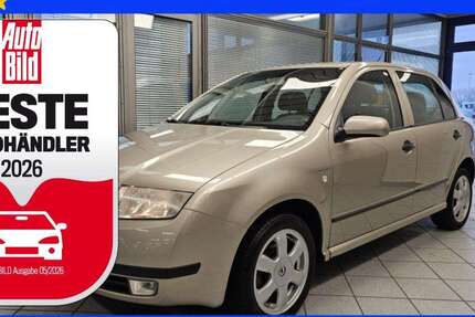 Skoda Fabia 174.600 km 2.500 &euro; Wolfsburg Heiligendorf 38444