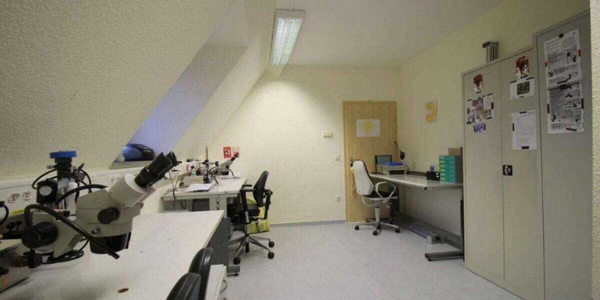 Gewerbeobjekt Dickel Dönsel - 520.000&euro; | Angebot:25722311