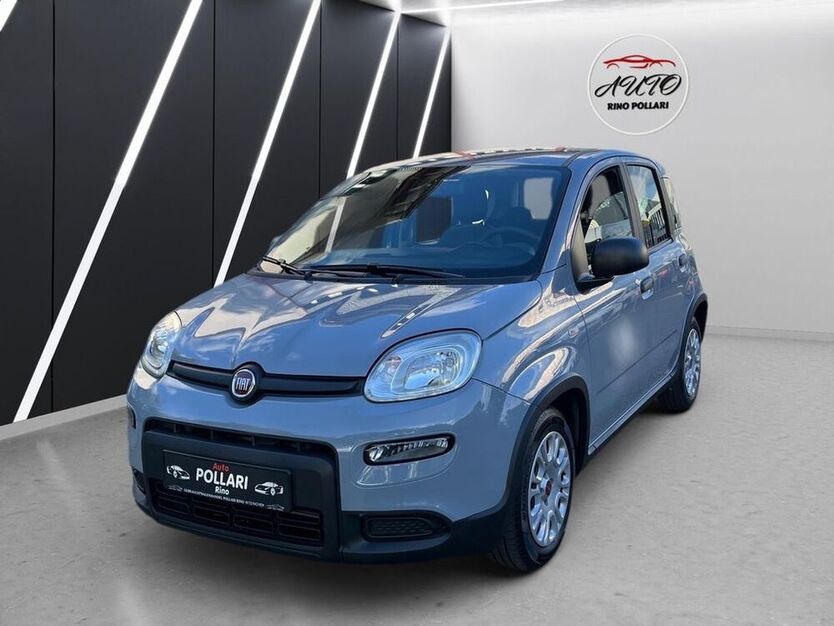 New Panda