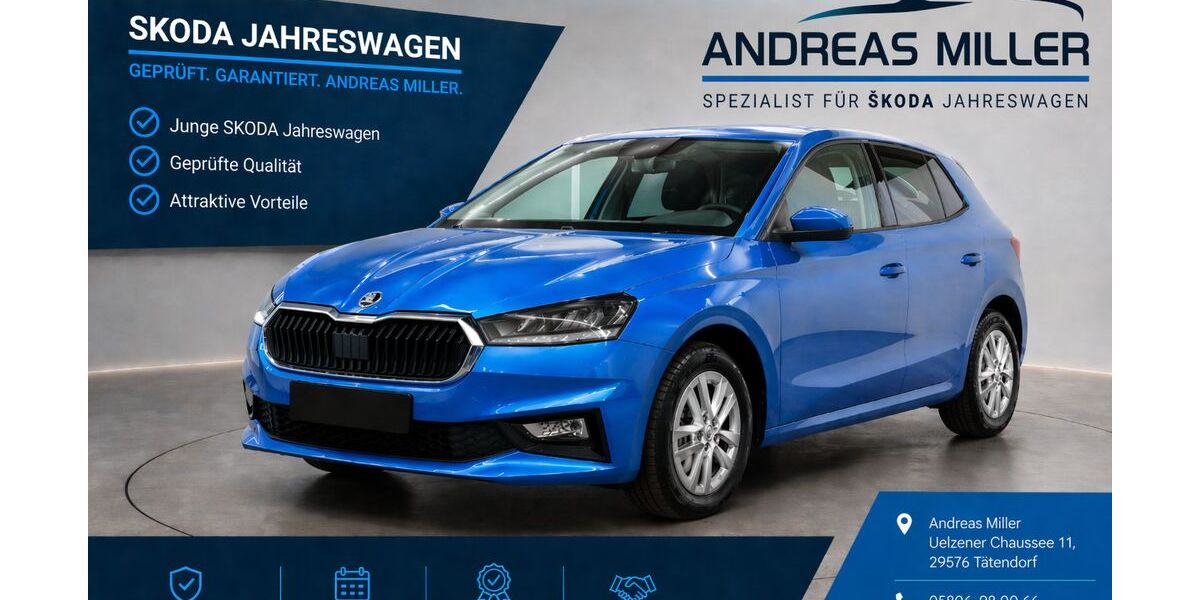 Skoda Fabia 12.890 km 19.680 &euro; Tätendorf 29576