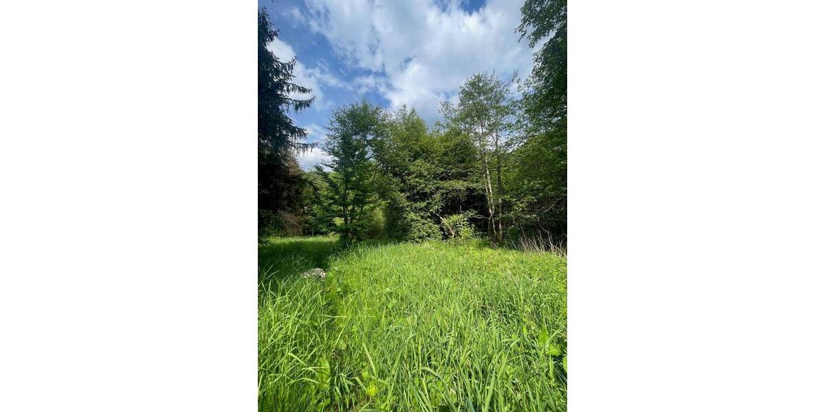 Grundstück Wildflecken Oberbach - 10.000&euro; | Angebot:25696672