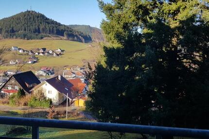 Gemütliche 1 Zimmerwohnung mit toller Aussicht auf Baiersbronn 1 zimmer