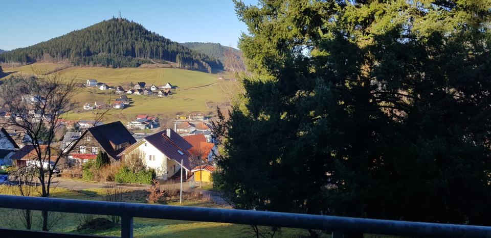 Gemütliche 1 Zimmerwohnung mit toller Aussicht auf Baiersbronn 1 zimmer