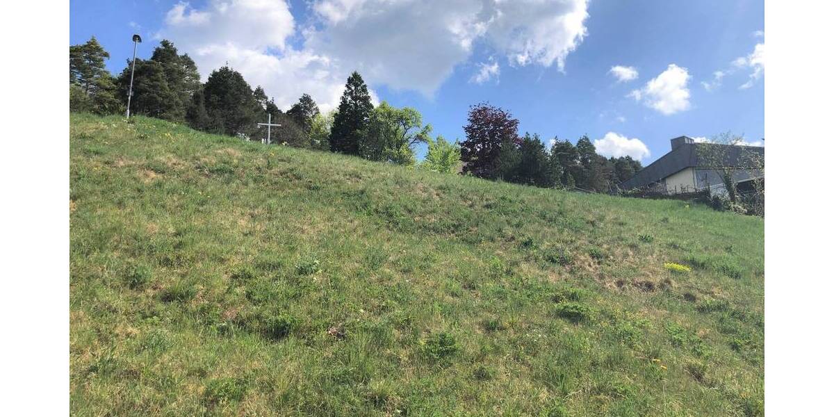 Grundstück Rottweil Neufra - 199.500&euro; | Angebot:19297113