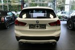 X1 xDrive20i Aut. xLine - Panorama - AHK -