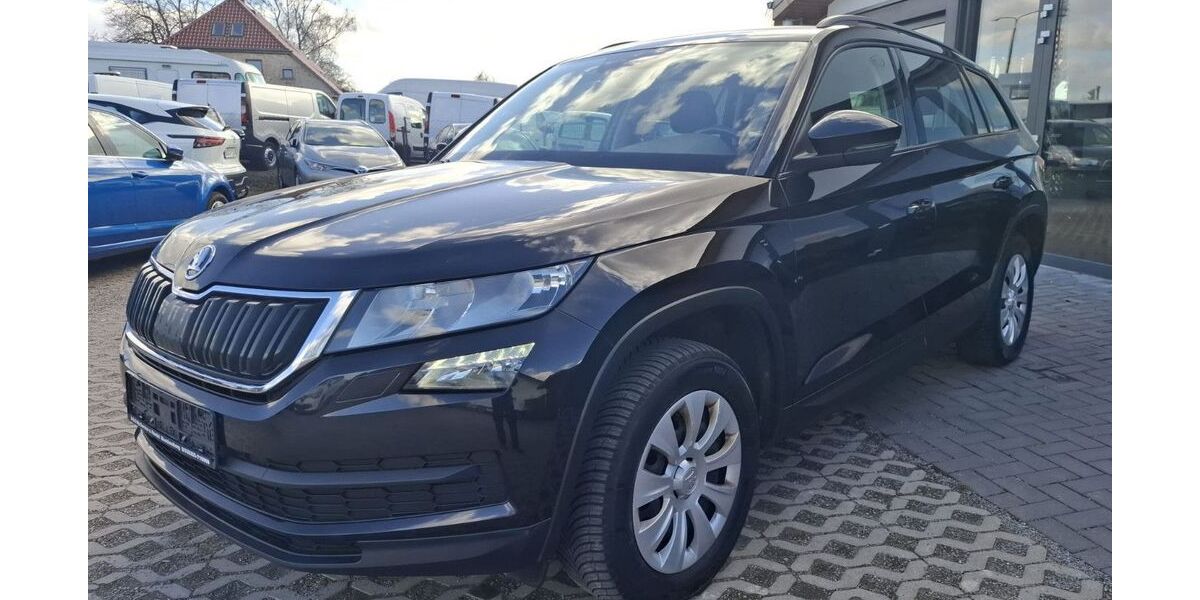 Skoda Kodiaq 175.366 km 16.980 &euro; Karlsburg OT Moeckow 17495