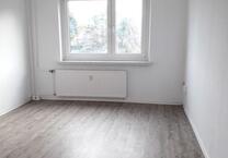 Preisgünstiges, interessantes 1-Zimmer-Appartment (WBS)