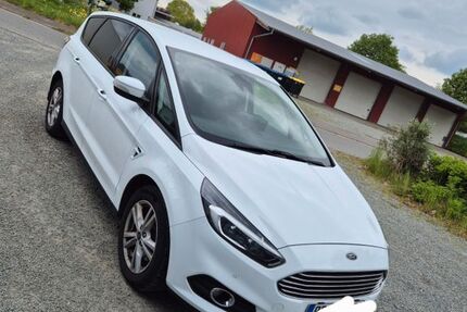 Ford S-Max 242.000 km 7.600 &euro; Bredenbek 24796