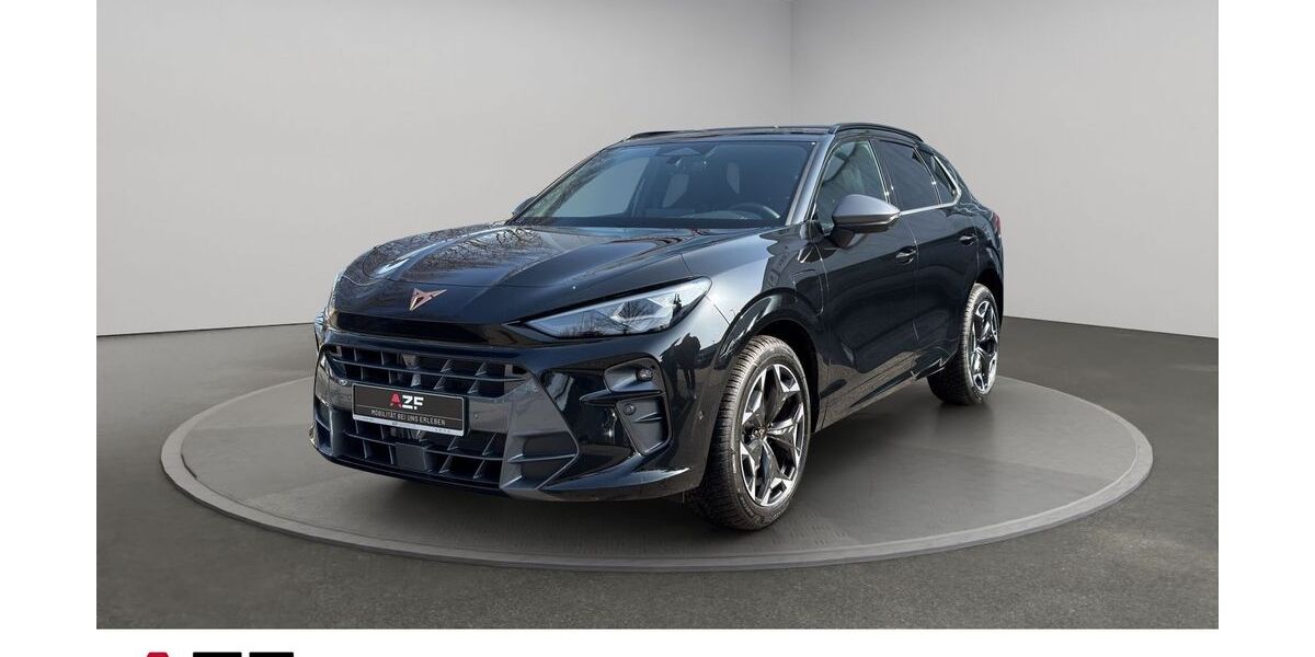 Cupra Terramar 9.500 km 53.990 &euro; Flensburg 24941