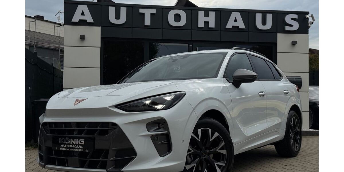 Cupra Terramar 22.160 km 33.900 &euro; Salzgitter 38259