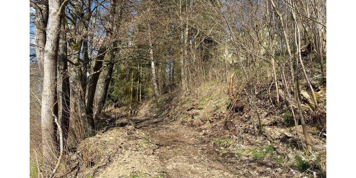 Grundstück Bad Berleburg Aue - 22.000&euro; | Angebot:25667709