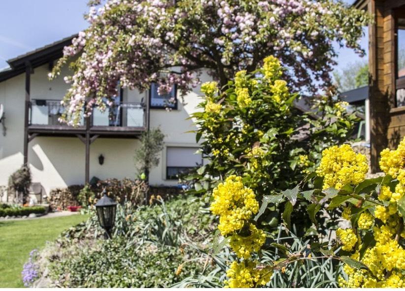 Schöne helle 3-Zimmer-Wohnung in Bad StaffelsteinOT Loffeld zimmer