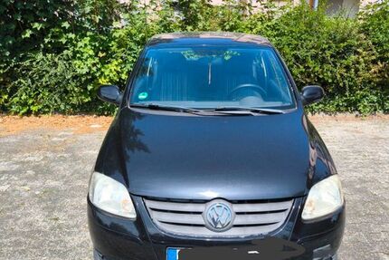 VW Fox