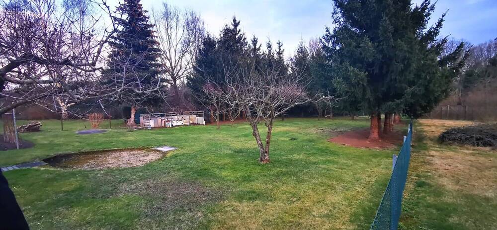 Grundstück Riesa Pausitz - 10.000&euro; | Angebot:25705436