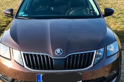 Skoda Octavia 177.000 km 9.999 &euro; Burglauer 97724