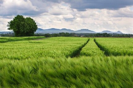 GROßER Acker nähe Fiegenstall mit über 4 ha