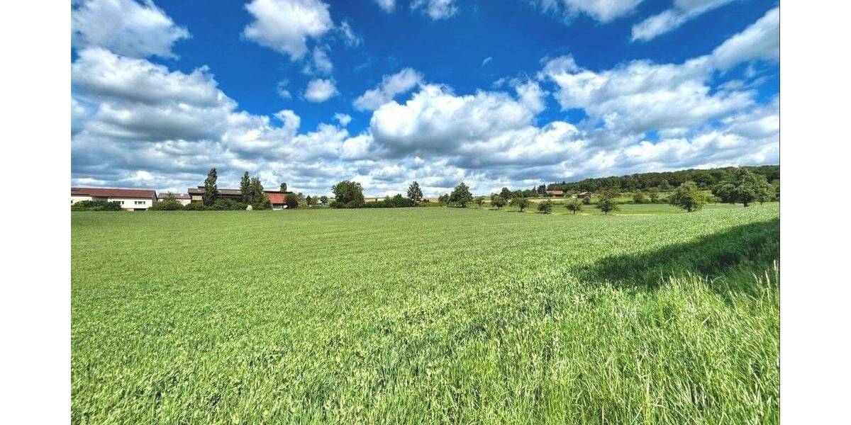 Grundstück Weil der Stadt - 42.000&euro; | Angebot:26869411