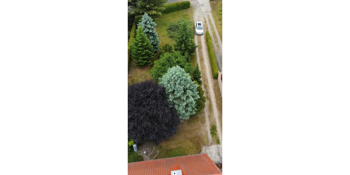 Einfamilienhaus Wittenberg Lutherstadt Reinsdorf - 259.000&euro; | Angebot:27027655