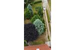 Einfamilienhaus Wittenberg Lutherstadt Reinsdorf - 259.000&euro; | Angebot:27027655