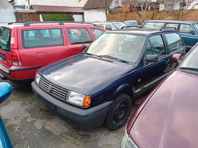 Polo