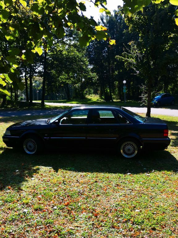 V8