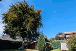 Einfamilienhaus Groß Rheide - 8 Zimmer, 191 m&sup2;, 329.000&euro; | Angebot:26199611