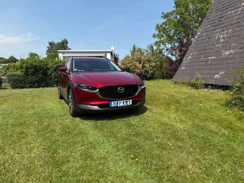 CX-30