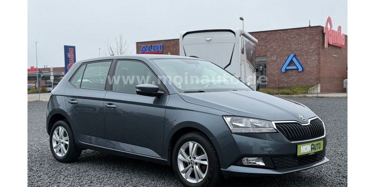 Skoda Fabia 29.000 km 13.490 &euro; Reinfeld 23858